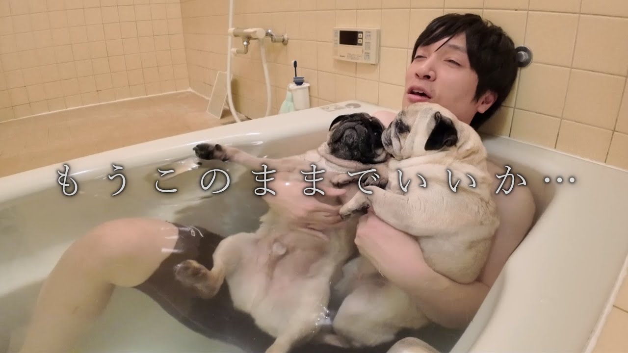 独身で犬を飼ってしまった男の末路