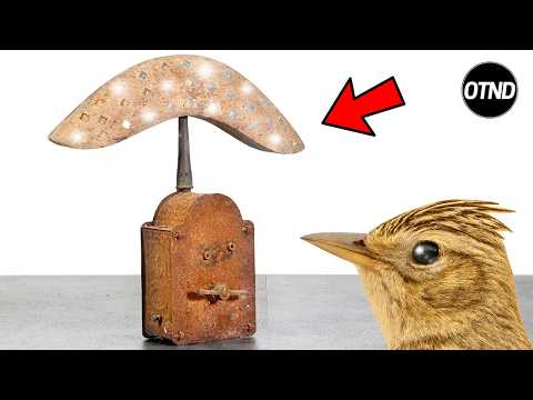 Antique Bird-Luring Mirror Restoration