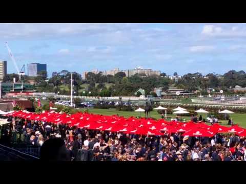 Black Caviar Lightning Stakes Day 2016 at Flemington