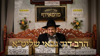 הרב דוד גבאי פרשת שופטים תשפ'ו