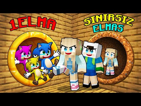 BEBEK SONİC AİLE VS BERCA AİLE KAPI SEÇME SAVAŞI! 😱 Minecraft