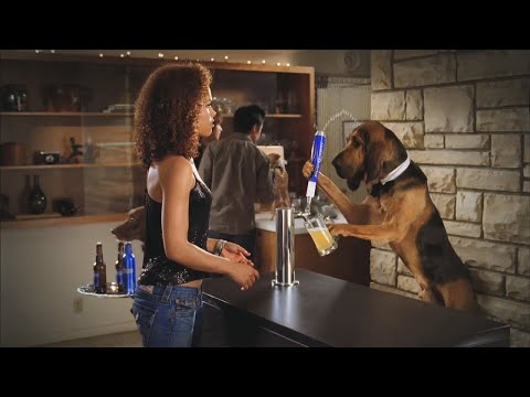 Top 10 Funniest Budweiser Commercials of ALL TIME! (MOT HILARIOUS Bud Light Beer Ads EVER)