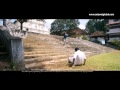 Fahadh S English Oru Indian Pranayakatha Comedy