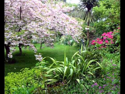 Puiu Chibici - Nu-Ti Cer Nimic