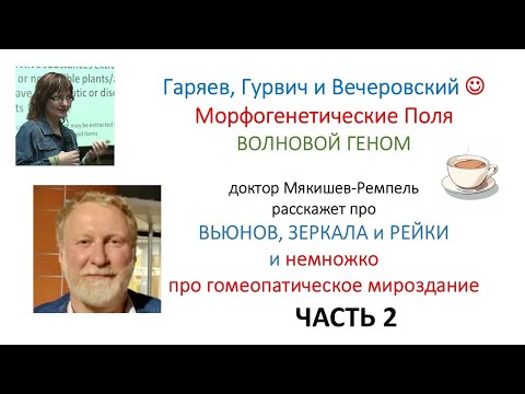 Часть 2: Волновой геном и Рейки