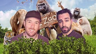 THE DREAM TEAM PLAYS HIDE AND SEEK IN A ZOO!