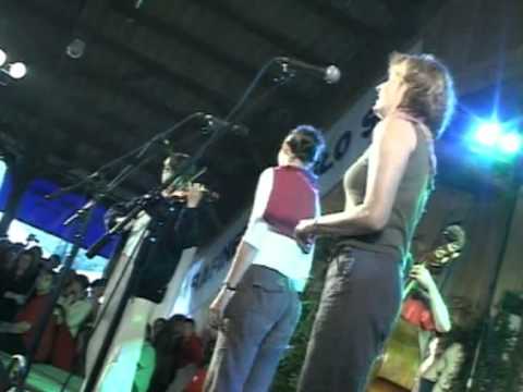 Chudoba - Holub na czereszni, holubka na wiszni