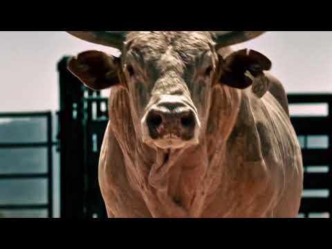 The PBR Comes to Okeechobee