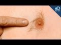 Why Do Men Have Nipples?