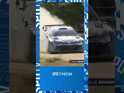 [WRC] 엄청난 흙먼지와 함께 질주하는 WRC 선수들