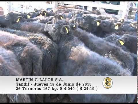 18-06-15 Venta de Hembras - Martin G. Lalor S.A. - Tandil