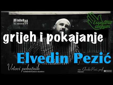 grijeh i pokajanje / mr. Elvedin Pezić