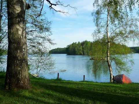 Toivo Kärki: That's why I'm melancholy - Arthur Zachary Backwoods, piano