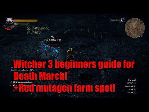 Witcher 3 Beginners guide for Death March!