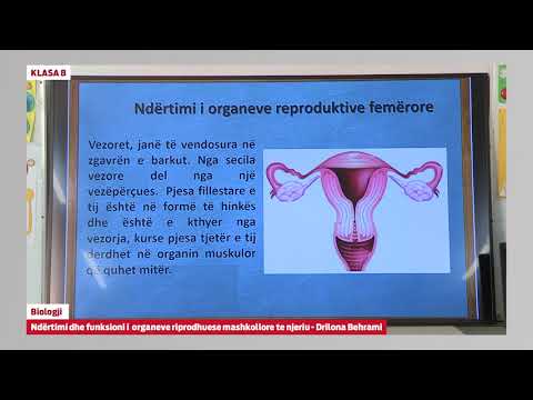 e Mesimi Klasa 8 - 8049 Biologji - Ndërtimi dhe funksionimi i organeve riprodhuese mashkullore ..