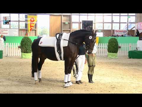 Jannica Bersem (RLP) - Damen 28 - DJM Krumke 2019