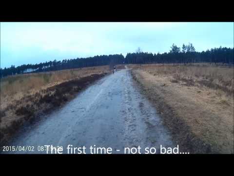 150402 two black dogs out of control