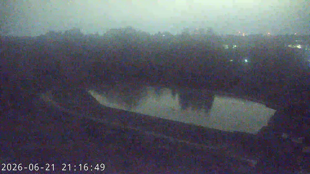 Live webcam view of Hamamatsu Flower Park Gardens