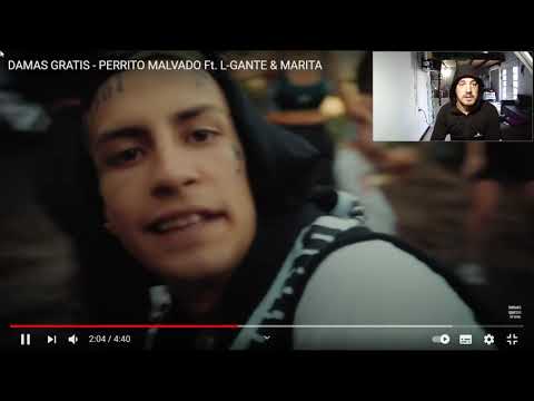 DAMAS GRATIS Y L-GANTE (VIDEO REACCION)