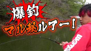 【バス釣り】グリ長の父・グリ父直伝！マル秘ルアーで爆釣！芹川ブラックバス釣り！