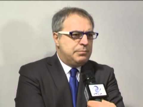 ONDA TG 23.05.2013 - NICOLA ANGELUCCI ANALISI DEL VOTO