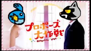 【修正版】最初の草むらでレベル100にするポケモンルビー実況part4（保存版）