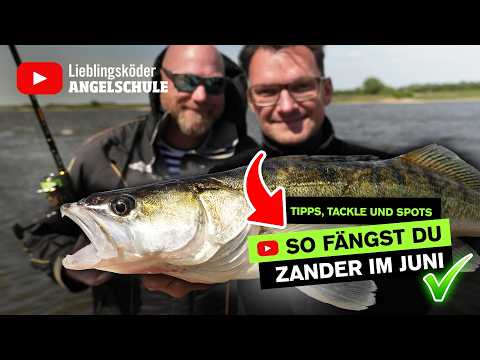 Zanderangeln im Juni 2025 🎣 – Beste Tipps, Köder & Top Spots