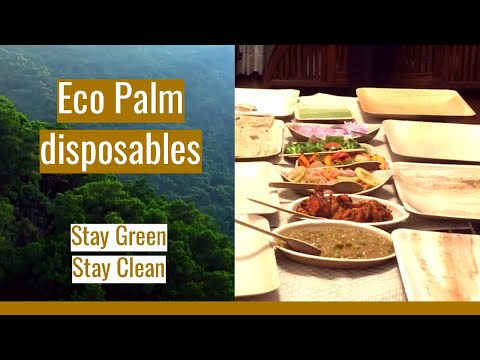 Environmental Impact of Eco Palm disposables by Adaaya