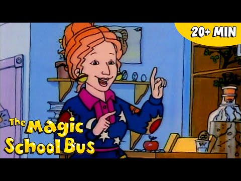 "As I Always Say" | The Wisdom of Ms. Frizzle | Teacher Appreciation | The Magic School Bus
