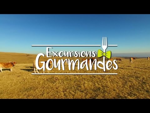 Excursions Gourmandes – Auvergne : La viande de Salers