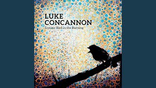 The Hummingbird (Kieron's Jig) Music Video