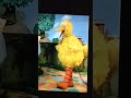 Big Bird In Mister Roger S Neighborhood