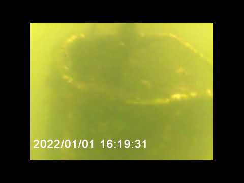 Sunken WWII English Channel pilot rescue buoy salvage