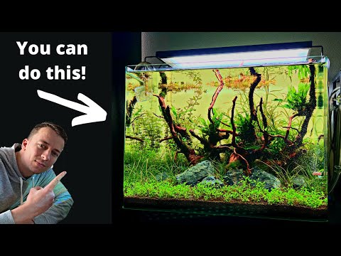 , title : 'Complete Aquascaping Beginners Guide - Learn ALL The Basics!'