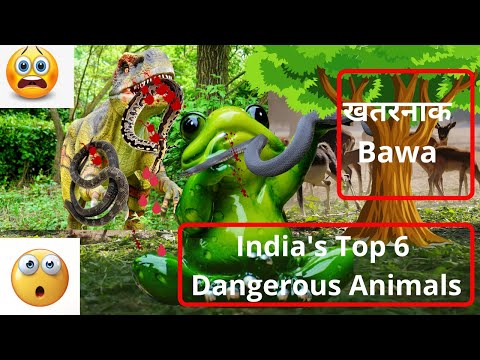 Indian Top 6 Danger Animals And Insects|Most Dangerous Animals