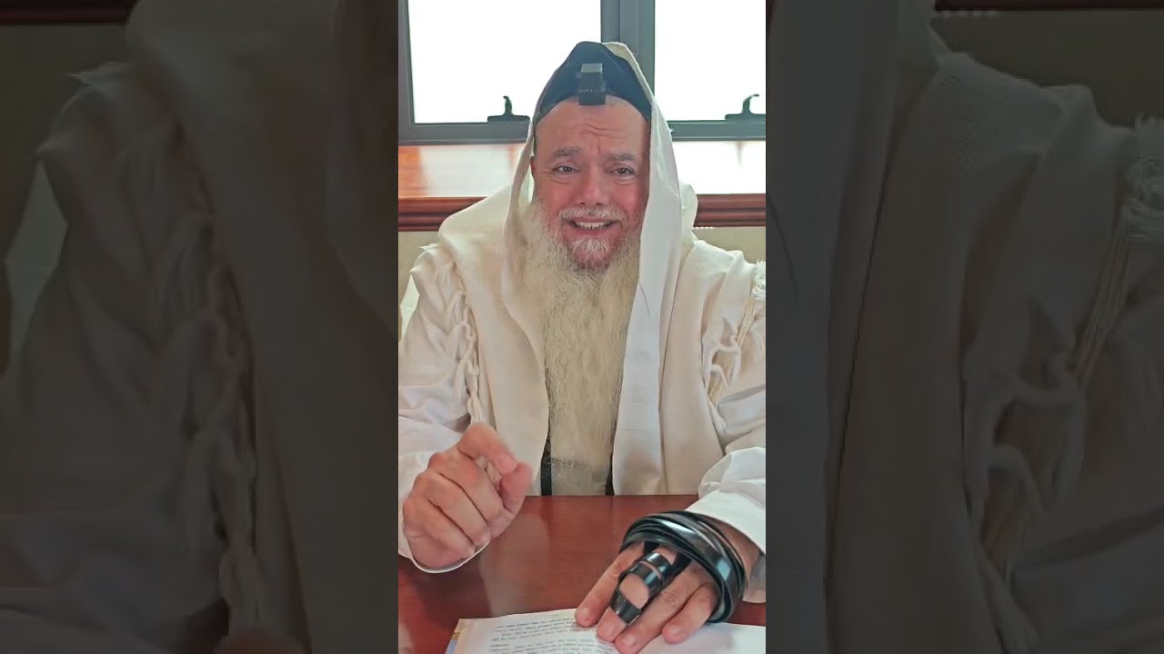 שער הביטחון היומי | סבב שני - פרק 117