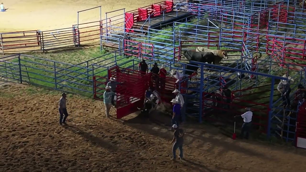 Bull Riding 2
