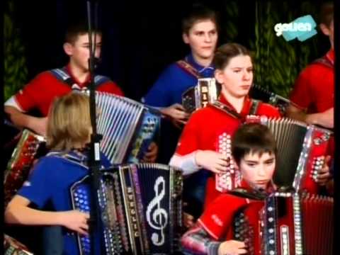 Iz Bohinja - Harmonikarski orkester Primoža Zvira