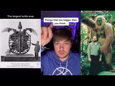 THINGS THAT ARE BIGGER THAN YOU THINK