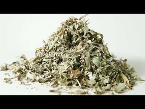   Прострел - сон трава