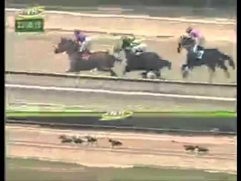 LA RINCONADA 2 CARRERA, DOMINGO 23 DE AGOSTO DEL 2015