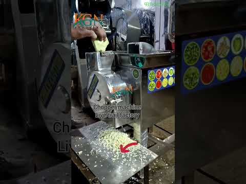 Onion, Chilli Cutting Machine Onion 50 to 100kg/hr