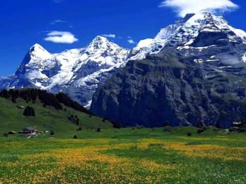 puiu chibici ,,n-am pe nimenea sub cer