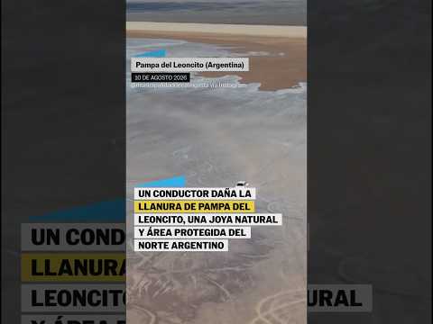 Un conductor daña la llanura de la Pampa del Leoncito #shorts