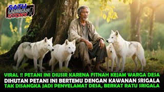 Download lagu VIRAL !! DIBUANG DARI DESA KARENA FITNAH, PETANI INI JADI PENYELAMAT DESA BERSAMA KAWANAN SRIGALA mp3