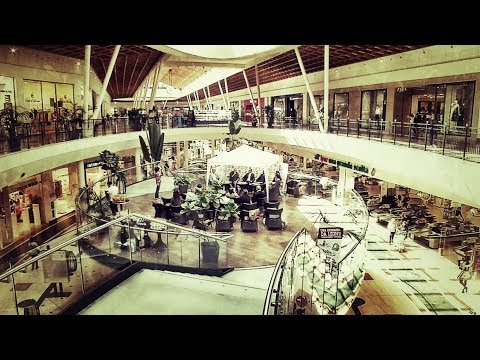 Una giornata da Leoni con le Aquile Lonato