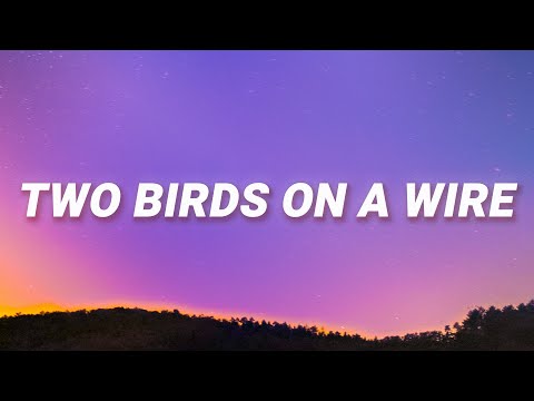 , title : 'Regina Spektor - Two Birds On a Wire (Lyrics)'