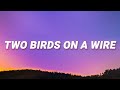 Regina Spektor - Two Birds On a Wire (Lyrics)