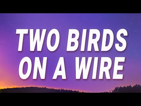 YouTube video about: What do you call two birds in love?