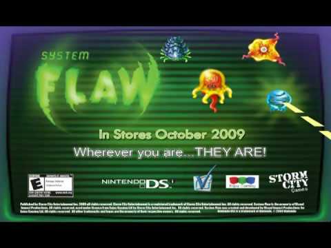 System Flaw Nintendo DS
